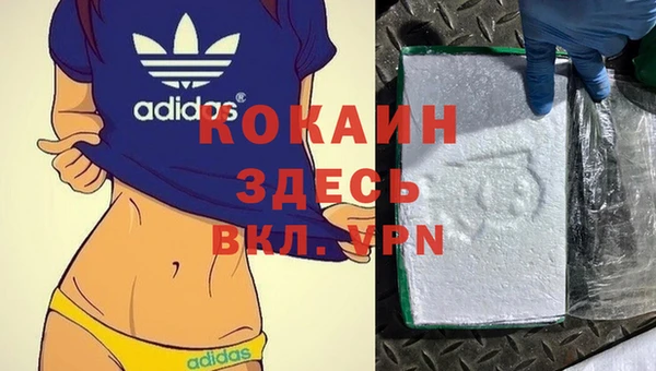 дурь Алзамай