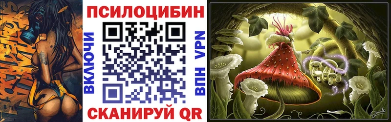 Галлюциногенные грибы мицелий  Тимашёвск 
